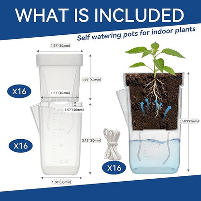 16 Pack 2" Mini Self Watering Pots for Indoor Plants, Small Clear Deep Square Plastic Planters,Self Watering Planters Garden Flower Pots for fluval Stratum,alocasia Live Plant