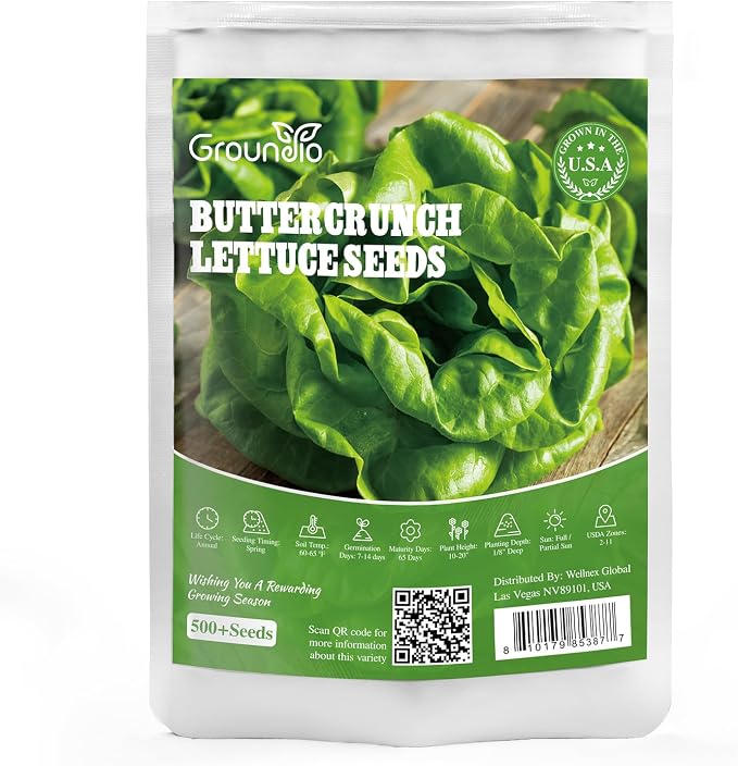 Groundio Buttercrunch Lettuce Seeds, Heirloom Non GMO Vegetable Seeds for Planting Outdoor, Indoor & Hydroponic, Garden Green Leaf Seeds for Salad