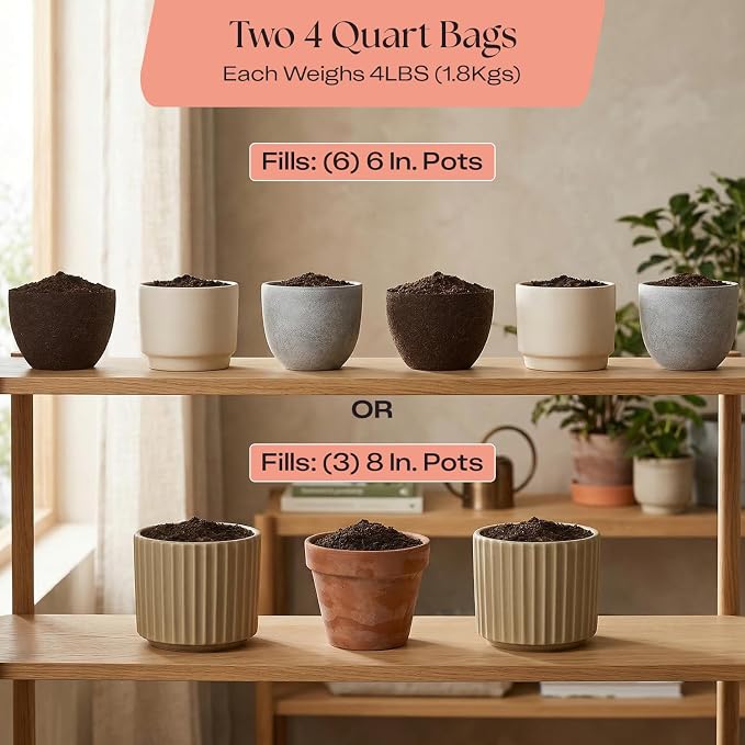 Rosy Soil Cactus & Succulent Potting Mix, 4qt, Pack of 2 | Organic Succulent Potting Soil, Chunky Fast Draining, Peat-Free, Root Boosting Mix, For AloeVera, Cacti, Indoor Succulents