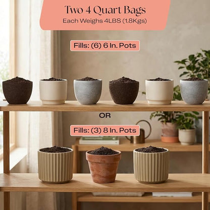 Rosy Soil Cactus & Succulent Potting Mix, 4qt, Pack of 2 | Organic Succulent Potting Soil, Chunky Fast Draining, Peat-Free, Root Boosting Mix, For AloeVera, Cacti, Indoor Succulents