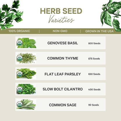 5 Certified Organic Herb Seeds Variety Pack (4X More) 2,800+ Non GMO Seeds for Planting Indoor Herb Garden or Outdoor Herb Garden Seeds for Planting | Including Basil, Cilantro & More