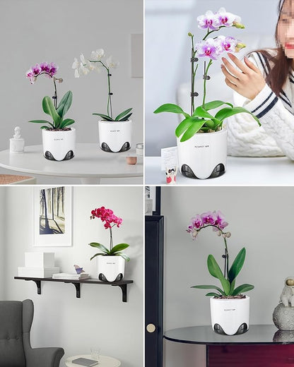 6 inch Orchid Pots with Holes for Repotting with Excellent Airflow, Set of 2, Double Layer Plastic Imitate Ceramic Orchid Planter, Clear Orchid Pot Match Decorative Orchid Container