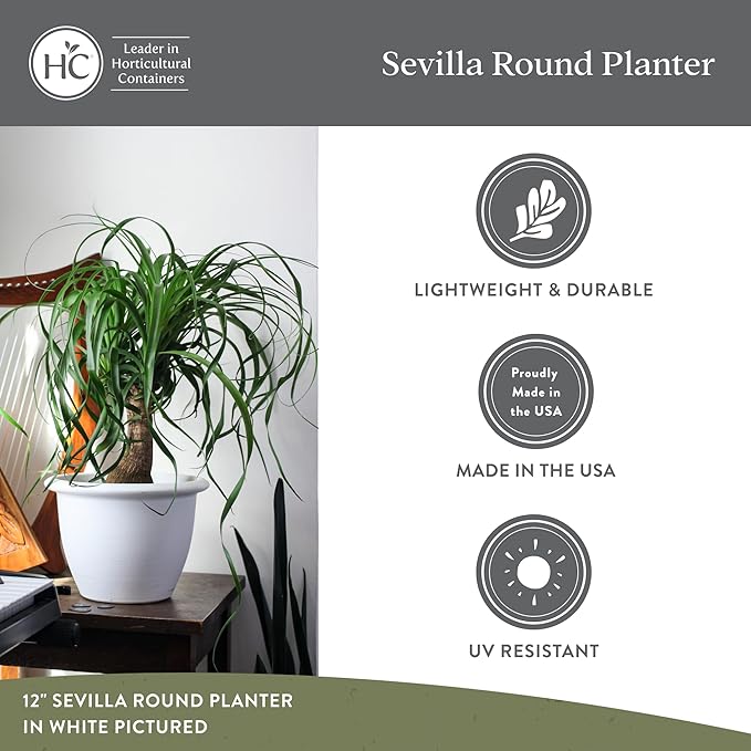 The HC Companies Sevilla Flower Planters - Durable Outdoor & Indoor Planter - Round Lightweight Self Watering Plant Pots for Herbs & More (9" Painted Black, Pack of 1)