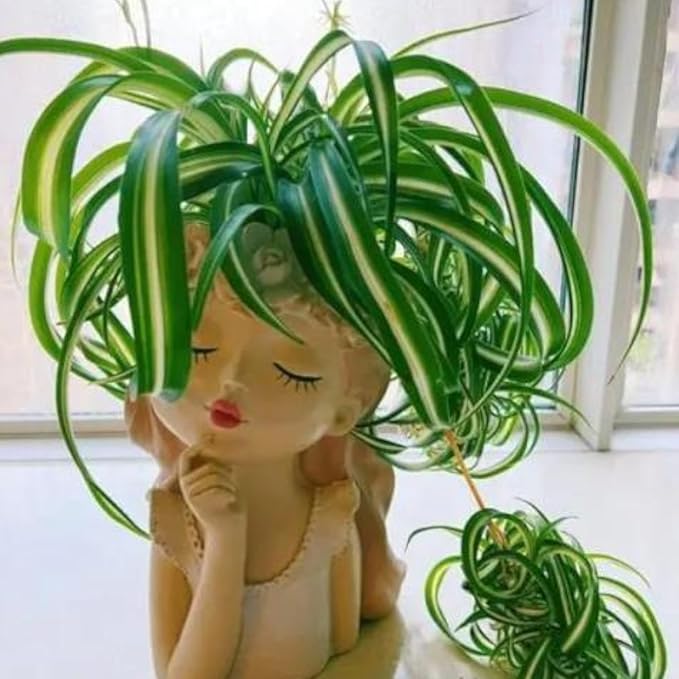 Resin Fairy Girl Planter with 2 Rooted Spider Plant Cuttings – Elegant Desktop Flower Pot & Home Décor Gift