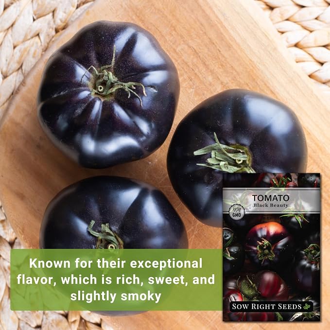Sow Right Seeds - Black Beauty Tomato Seeds for Planting - Non-GMO Heirloom Packet with Instructions to Plant an Outdoor Home Vegetable Garden - Rare Deep Purple Slicing Variety - Sweet Flavor (3)