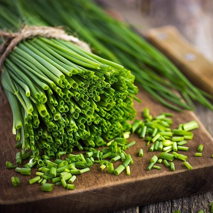 Seeds Chives Onion (Garlic Scapes) Green Non GMO Vegetable for Planting