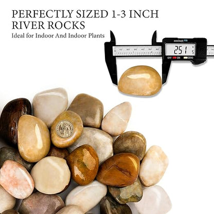 18lb Mix River Rocks for Plants, 1-3 Inch Pebbles for Indoor Plants, Polished Garden Rocks Outdoor Landscaping, Decorative Stones for Vases, Succulents, Aquarium, Walkways