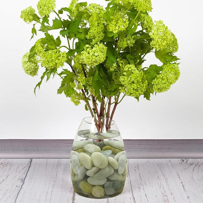 FANTIAN 10 lbs River Rocks, 1-2 Inch Polished Pebbles for Indoor Plants, Decorative River Stones for Succulent, Landscaping, Vases, Backyard, Crafting and Garden