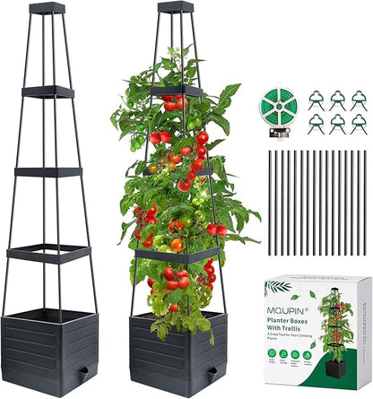 MQUPIN Tomato Planter Box with Trellis for Garden, 57 Inch Self-Watering Raised Garden Bed, Patio Tomato Cage for Climbing Vegetables & Flowers, Upgraded Tomato Pot for Indoor Outdoor Use (2 Pack)