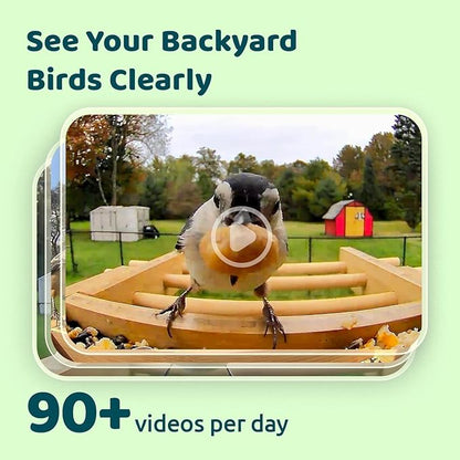 Birdfy Smart Bird Feeder with Camera&Metal Guard, Bamboo Wood Outdoor Design, AI Bird Recognition, 1080P HD & Night Vision, Solar Powered, Weatherproof, 3.5L Capacity, Ideal Gift for Nature Lovers