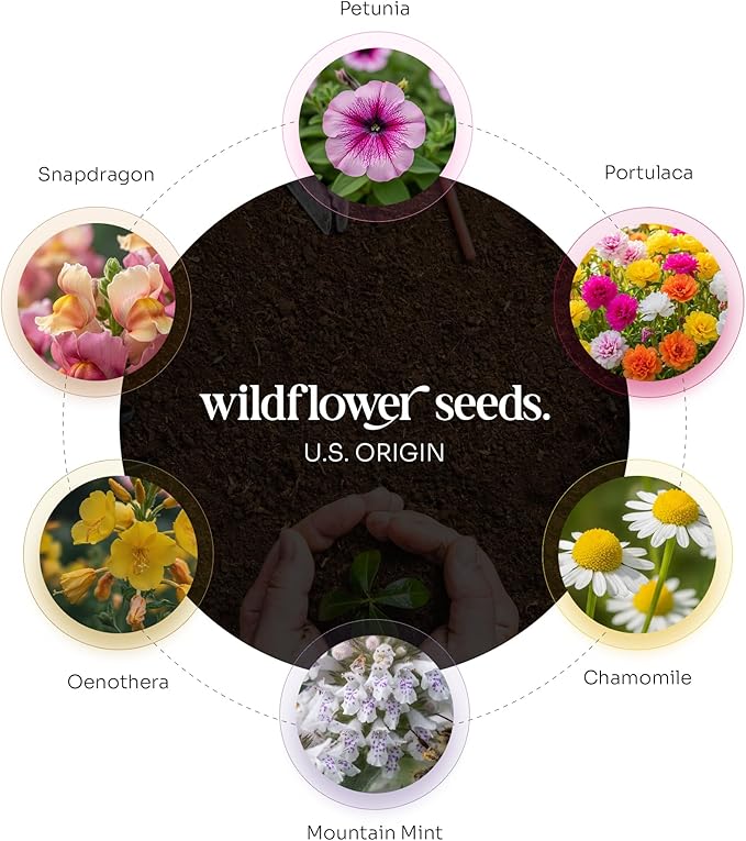 50pcs Large Printed Forever in Love Butterfly Seed Paper – Writable & Plantable Wildflower, Mom's Gift for Birthday, Use for Wedding, Baby Shower, & Party Favors
