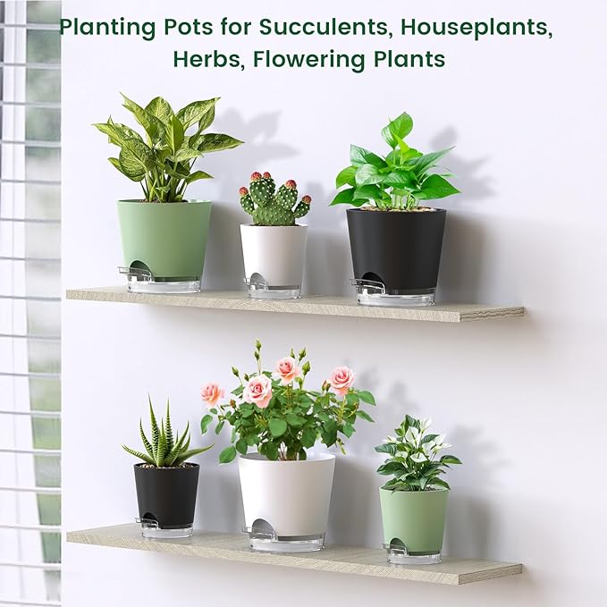 6 inch Self Watering Pots for Indoor Outdoor Plants, 3 Pack Flower Plant Pots with Drainage Holes and Clear Reservoirs, Visible Water Level, Plastic Planters with Wicking Rope, White