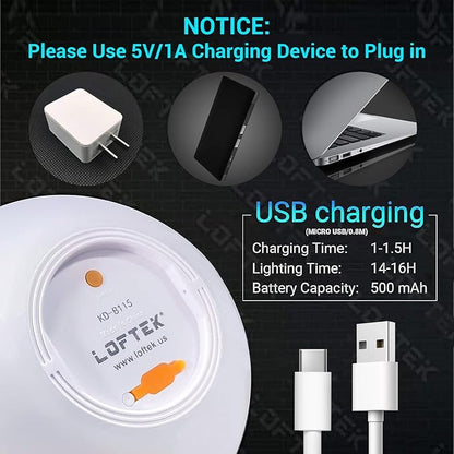 LOFTEK LED Pool Lights That Float 6+8+12inch Globe Lamp Rechargebale 16 RGB Orb Light