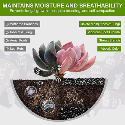 NUPICK 3lb River Rocks for Plants Indoor, 3/8 Inch Black Pebbles for Vases Fillers, Decorative Pea Gravel for Fish Tank, Natural Polished Stones for Succulent, Bonsai, Landscaping, Bird Baths