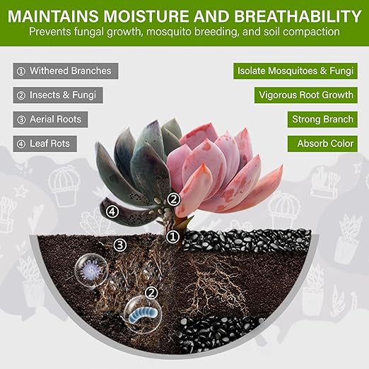 NUPICK 3lb River Rocks for Plants Indoor, 3/8 Inch Black Pebbles for Vases Fillers, Decorative Pea Gravel for Fish Tank, Natural Polished Stones for Succulent, Bonsai, Landscaping, Bird Baths