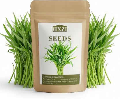 1000 Kangkong Seeds for Planting – Rau Muong Seeds Vietnam Variety – Kong Xin CAI Ong Choy Asian Vegetable for Filipino & Vietnamese Garden Growing