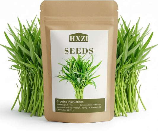 1000 Kangkong Seeds for Planting – Rau Muong Seeds Vietnam Variety – Kong Xin CAI Ong Choy Asian Vegetable for Filipino & Vietnamese Garden Growing
