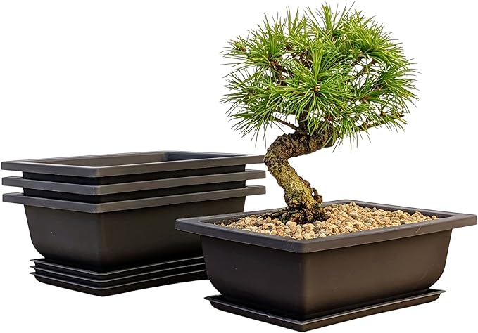 Tinyroots Bonsai Pots with Humidity Trays - Training Planters, Built in Mesh, 6-inch and 8-inch