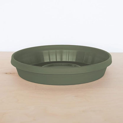 Bloem Terra Resin Saucer Tray: 11.25" Bottom Width - Matte, Durable, Ribbed Bottom, Indoor and Outdoor, Fits 14" Terra Pots, Living Green
