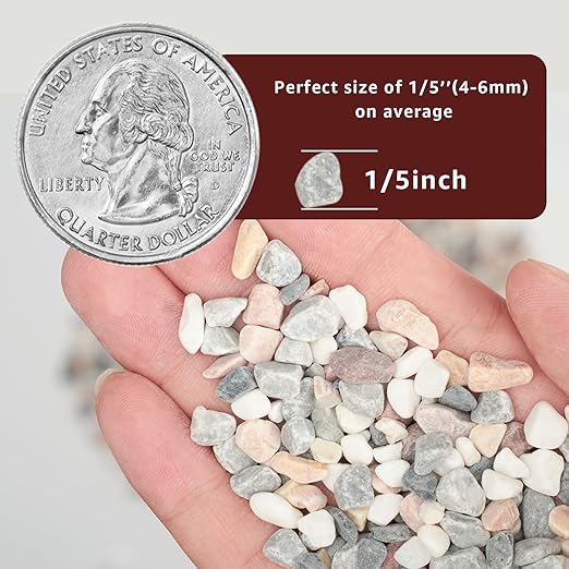 5lbs Natural Gravel Pebbles for Succulents and Cacti, 1/5 Inch Decorative River Stones – Perfect for Vases, Aquariums, Terrariums, and Outdoor Gardening, Mixed Colors (Mixed, 5 Pounds)