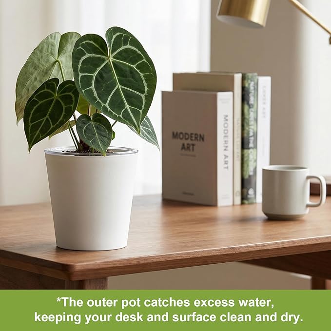 4 Pack of 7in and 5in Double-Layer Self-Watering Pot with Clear Nursery Pot - Indoor Planter with Drainage for Root Visibility,semi Hydro pots for repotting Orchids,Aroid or Monstera,White