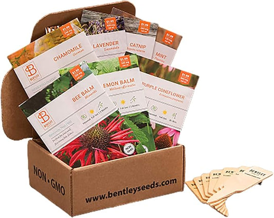Bentley Seed Medicinal Herbs Starter Kit – Non-GMO Seeds for Indoor Planting - Heirloom Seed Packets - Individual Packets for Chamomile, Lavender, Catnip, Mint, Bee Balm, Lemon Balm, Purple Cone