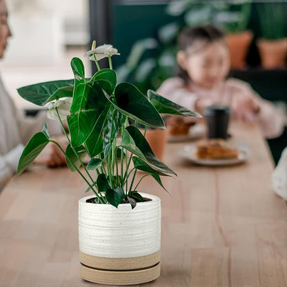 HERDUK 6 Inch Plant Pots, Ceramic Planter Pot with Drainage Hole & Saucer, Indoor/Outdoor Cylinder Round Planter Pot, White & Beige Glaze