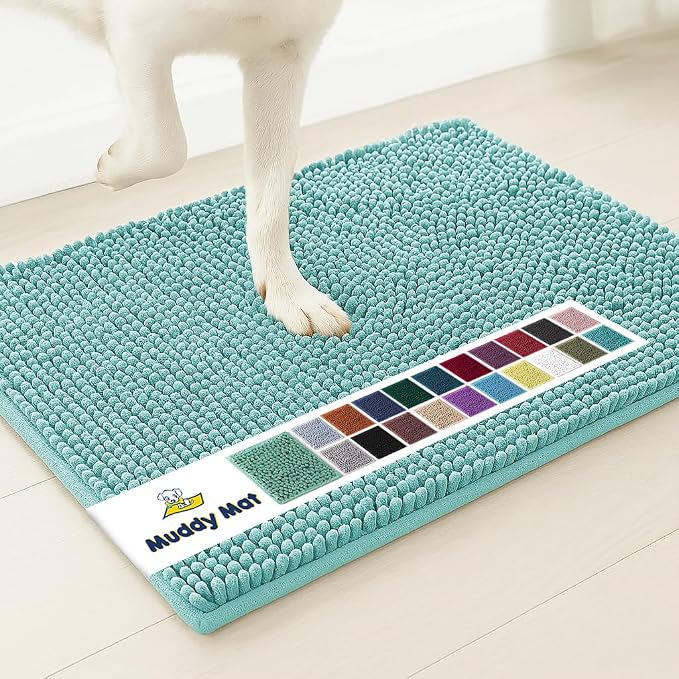 Muddy Mat® | Super Water Absorbent Door Mat Indoor, Microfiber Quick Dry Chenille Entryway Rug,Slip Resistant Front Door Mat,Indoor Mats for Entryway,Machine Washable Pet Rug, Seafoam Green 30"x19"
