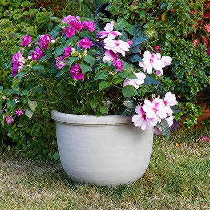 Crescent Garden Agave Planter, Classic Lightweight Resin Planter - UV-Resistant Flower Pots - Indoor & Outdoor Pot for Flowers, Houseplant, Herbs, 14" W x 11" H (Parchment)