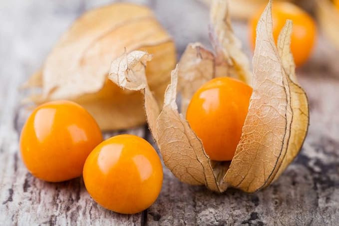 Seeds Strawberry Physalis Cape Gooseberry Goldenberry Ground Cherry Orange Non GMO Vegetable for Planting
