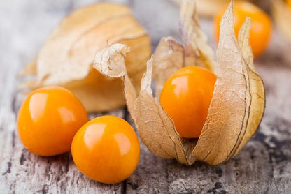 Seeds Strawberry Physalis Cape Gooseberry Goldenberry Ground Cherry Orange Non GMO Vegetable for Planting