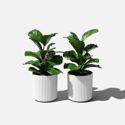 Veradek Demi Series Round Planter for Porch, Patio, Backyard | Durable Plastic-Stone Composite Material | Modern Décor for Tall Plants, Flowers