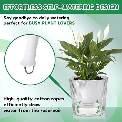 6 Pack Self Watering Pots for Indoor Plants Plastic Vertical Ribbed Semi Transparent Planters, Dual Layer Reservoir for Indoor Succulents Herbs Pothos(Clear, White,6.5 x 5.9 Inch)