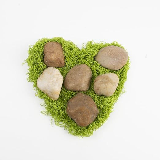 10LB Mixed Stones Pebbles River Rocks, Natural Beach Pebbles,1-2 Inch Decorative River Rocks for Landscaping Garden Paving Plant Rocks Crafting Walkways and Outdoor Decorative Stone