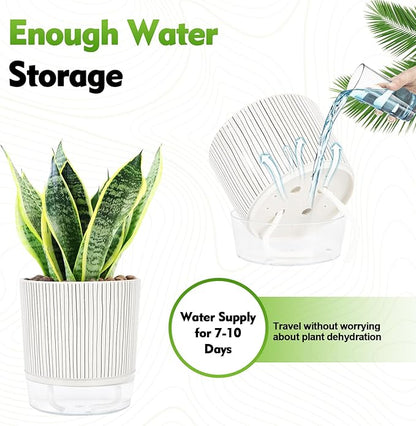 Self Watering Pots for Indoor Plants, 6 & 5 & 4 Inch Stylish Flower Pots, Set of 3 Modern Planters with Self-Watering Feature (Black Stripes)