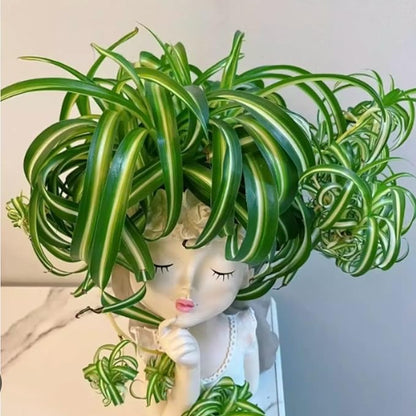 Resin Fairy Girl Planter with 2 Rooted Spider Plant Cuttings – Elegant Desktop Flower Pot & Home Décor Gift