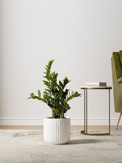 LE TAUCI Ceramic Planters, 8.3/7/6 Inch Indoor Pots for Plants with Drainage Holes & Mesh, Modern Matte Glaze Cylinder Fluted Plant Pot for Snake Plant, Set of 3, White