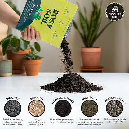 Rosy Soil Plant Food – Microbially Active Fertilizer for Houseplants, Herbs & Flowers – Biochar, Kelp, Worm Castings – Organic Indoor Plant Food – 4 Quarts