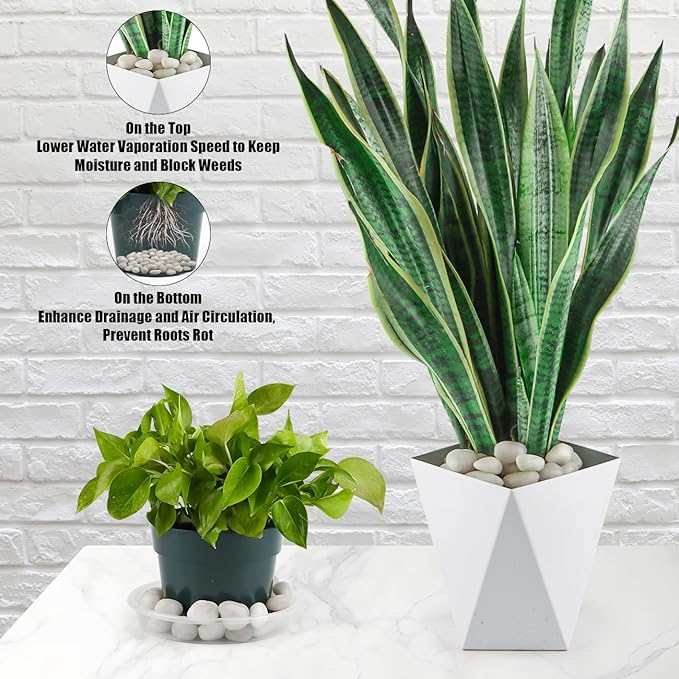 1 Pack 5 Lbs Random Color River Rocks for Plants,0.8-1.5 Inch Decorative Ornamental Pebbels, High Polished Stones for Garden Landscaping, Smooth Gravel Filler, Succulents, Fish Tank, White/Yellow