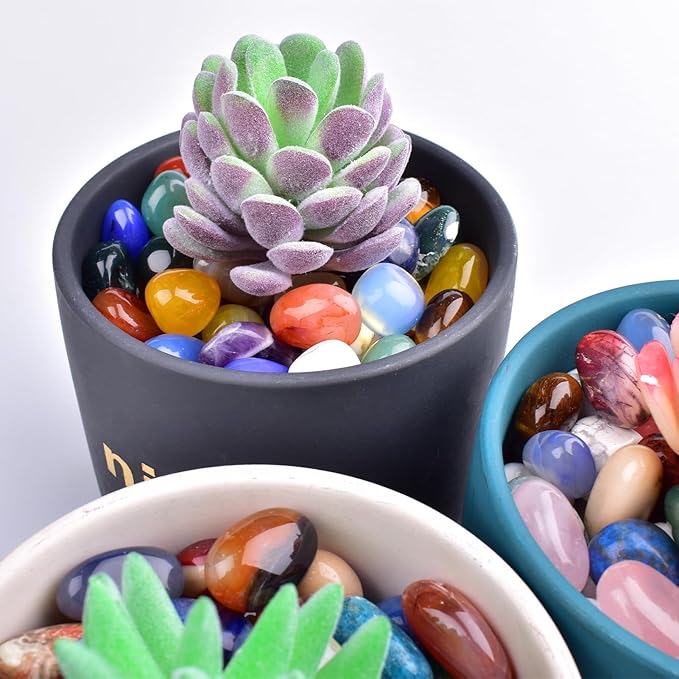 Polished Stone Set Howlite Crystals, 0.8" Handpicked Tumbled Gemstones Rocks, Pebbles for Reiki, Chakra, Healing, Home Decor