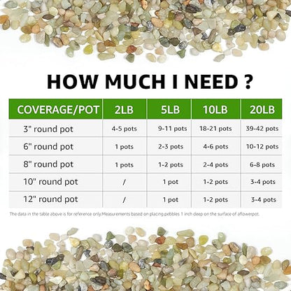 10lbs Natural Gravel Pebbles for Succulents and Cacti, 1/5 Inch Decorative River Stones – Perfect for Vases, Aquariums, Terrariums, and Outdoor Gardening, Mixed Colors (Jade, 10 Pounds)