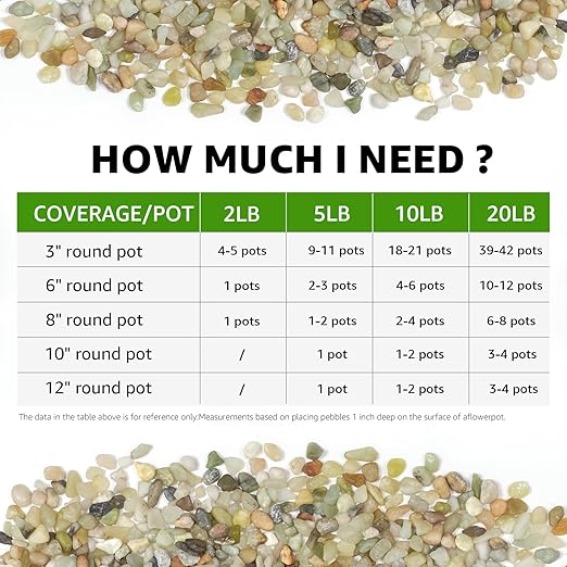 5lbs Natural Gravel Pebbles for Succulents and Cacti, 1/5 Inch Decorative River Stones – Perfect for Vases, Aquariums, Terrariums, and Outdoor Gardening, Mixed Colors (Jade, 5 Pounds)