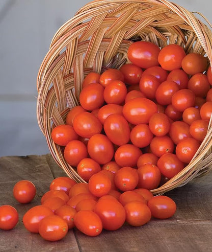 Burpee Napa Grape Tomato Seeds – Sweet Grape Tomato Variety for Home Garden Growing, 30 Non-GMO Seeds
