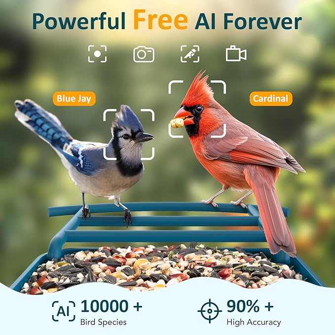 BIRDLEGEND® BL01 Bird Feeder with Camera Solar Powered, Free AI Smart Camera Bird Feeder with 64GB Card DIY Add-ons 1080P Live Auto Capture Videos Pictures, Gifts for Birdlover Mom Dad, 2.4GHz WiFi