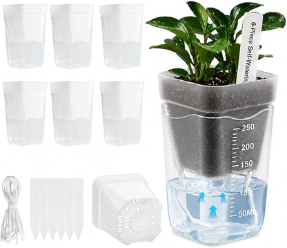 6 Pack 2.5" Self Watering Seed Starter Cups, Clear Mini Planters for Indoor Plants, Help Prevent Overwatering, Promote Healthy Growth for Seedlings, Cuttings & Small Plants, with 6 Labels