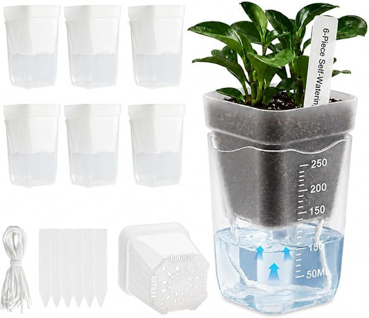 6 Pack 2.5" Self Watering Seed Starter Cups, Clear Mini Planters for Indoor Plants, Help Prevent Overwatering, Promote Healthy Growth for Seedlings, Cuttings & Small Plants, with 6 Labels