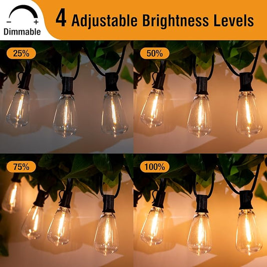 btfarm 100FT LED Outdoor String Lights Waterproof with Remote, Patio Lights with 32+2 ST38 Edison Bulbs, Hanging Light for Outside with Timer for Backyard Party Yard Gazebo Porch, 2700K Dimmable