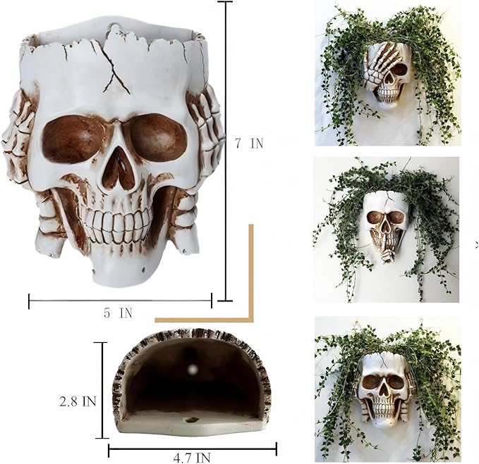 Resin Air Plant Holders,Tilandsia Container,Gothic Skeleton Planter,Halloween Plant Pot,Tillandsia Pot, Skull Table Top Display Planters for Air Plants and Other Mini Plants (White No.1, 7*5*3.2'')