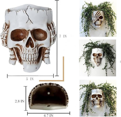 Resin Air Plant Holders,Tilandsia Container,Gothic Skeleton Planter,Halloween Plant Pot,Tillandsia Pot, Skull Table Top Display Planters for Air Plants and Other Mini Plants (White No.1, 7*5*3.2'')