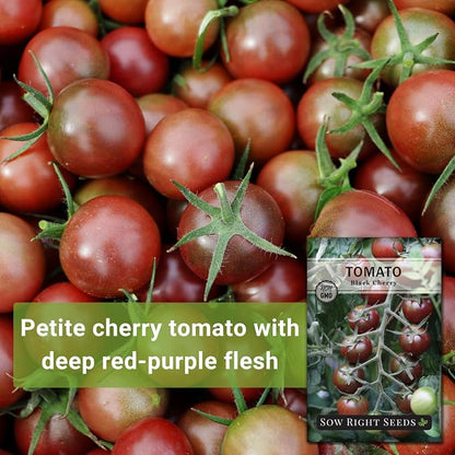Sow Right Seeds - Black Cherry Tomato Seeds for Planting - Non-GMO Heirloom Packet with Instructions to Plant a Home Vegetable Garden - Tasty Snacking Variety, Start Indoors - Indeterminate (3)